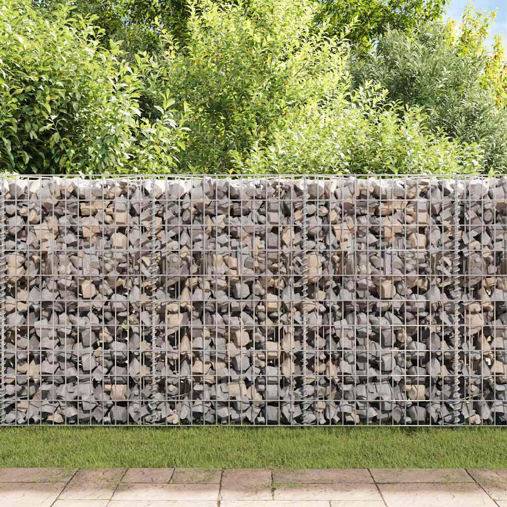 Gabion basket planter vegetable raised bed steel 120×30×50 cm