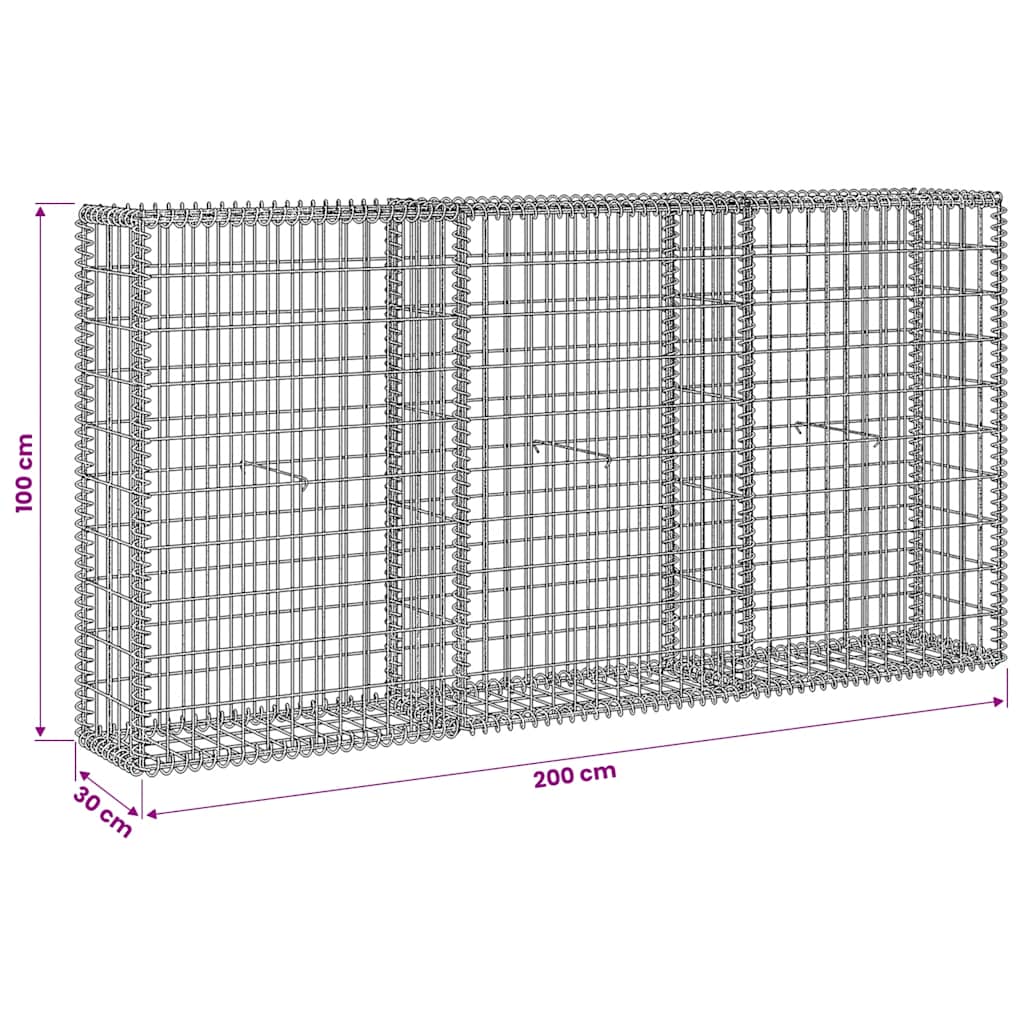 Gabionenkorb Stahl 200×30×100 cm