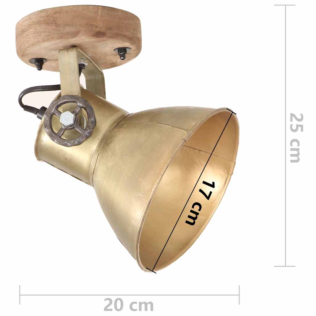 Wand-/Deckenlampen Industriestil 2 Stk. Messing 20x25 cm E27