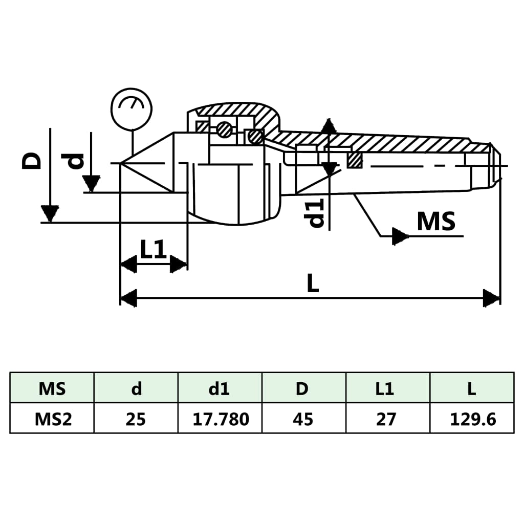 Leichte Zentrierspitze DM312 MT2/MK2