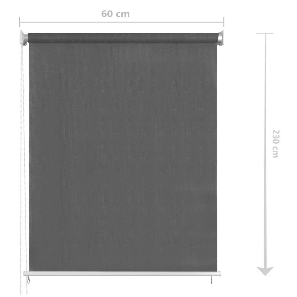 Außenrollo 65 (B) x 230 (H) cm Anthrazit