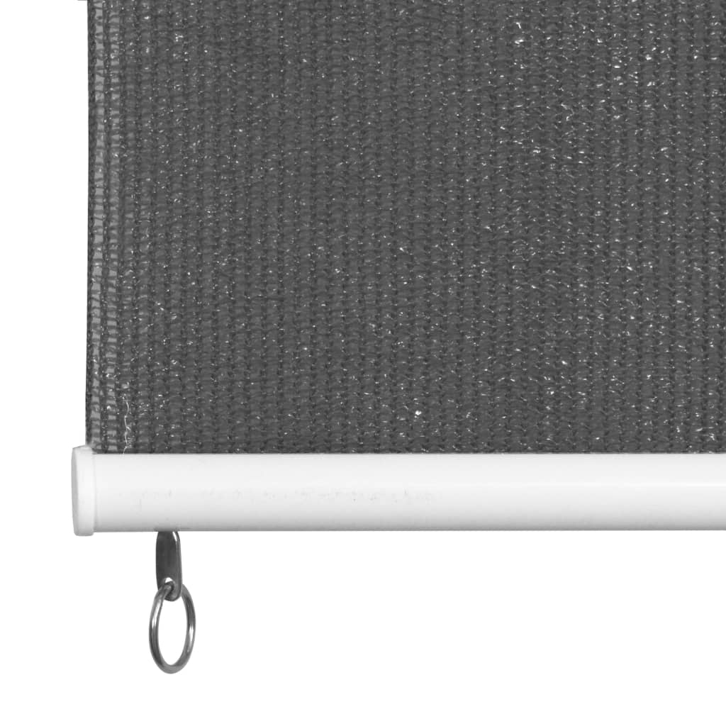 Außenrollo 160x230 cm Anthrazit