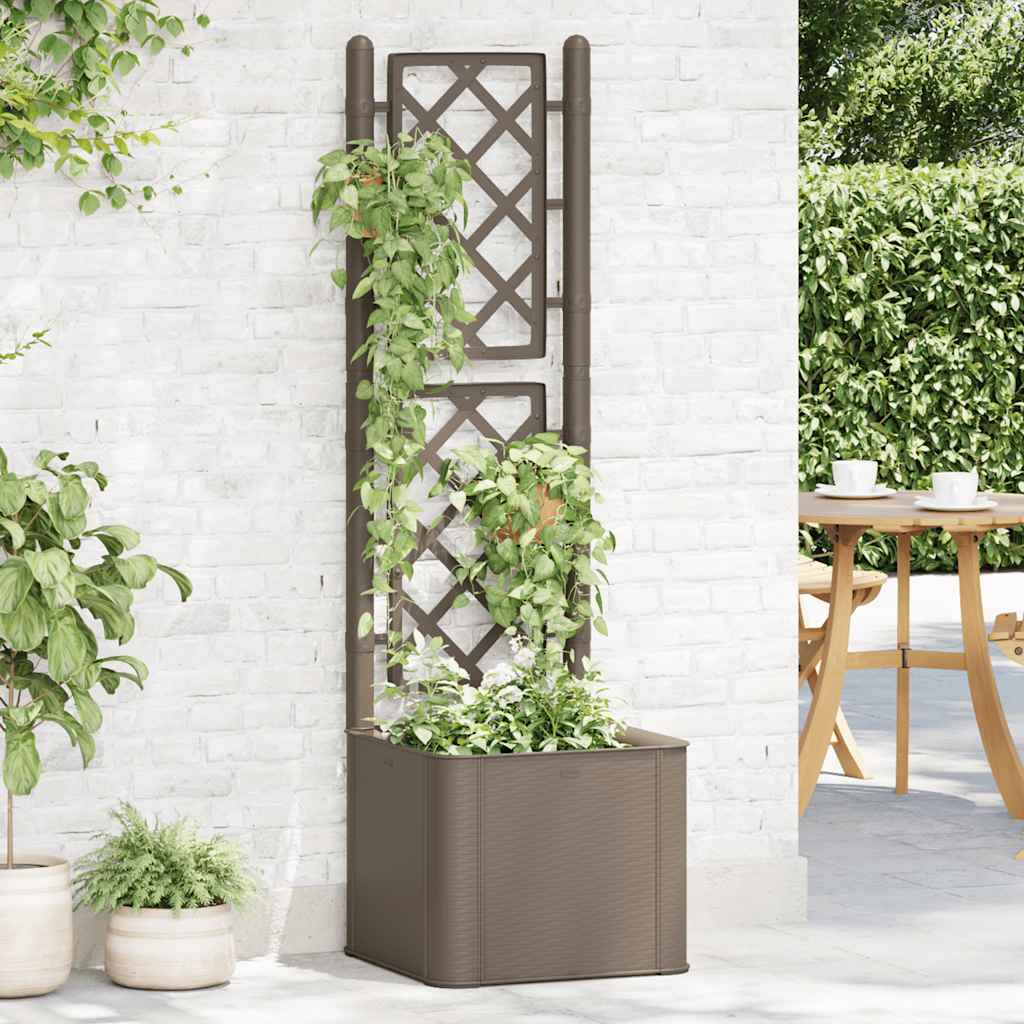 Garden raised bed with trellis and self-watering system Mocha