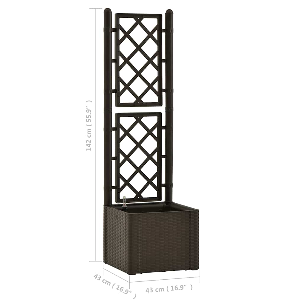 Garden raised bed with trellis and self-watering system Mocha