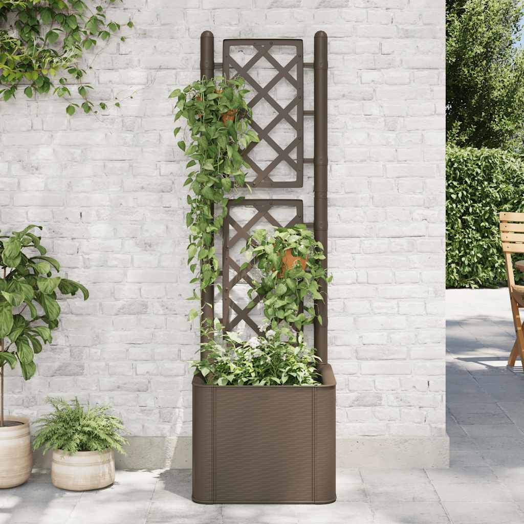 Garden raised bed with trellis and self-watering system Mocha