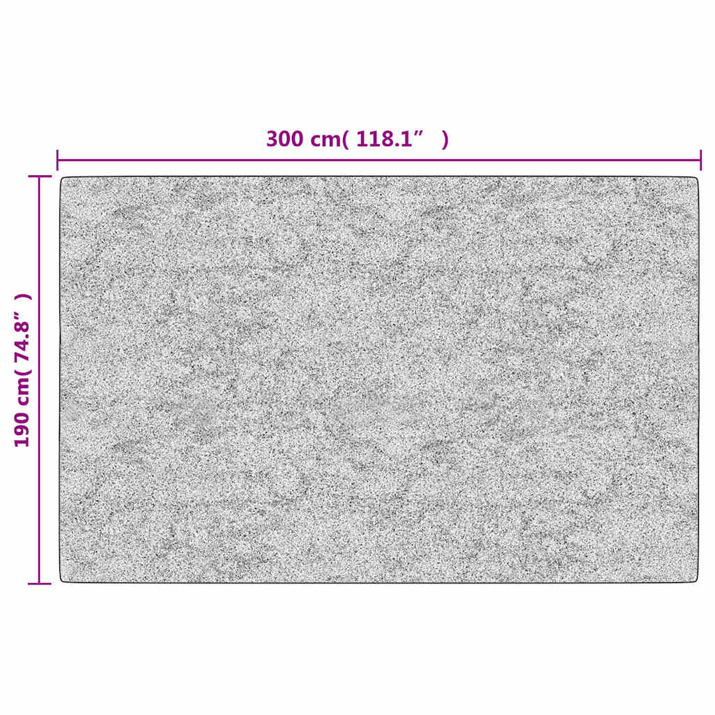 Teppich Waschbar Grau 190x300 cm
