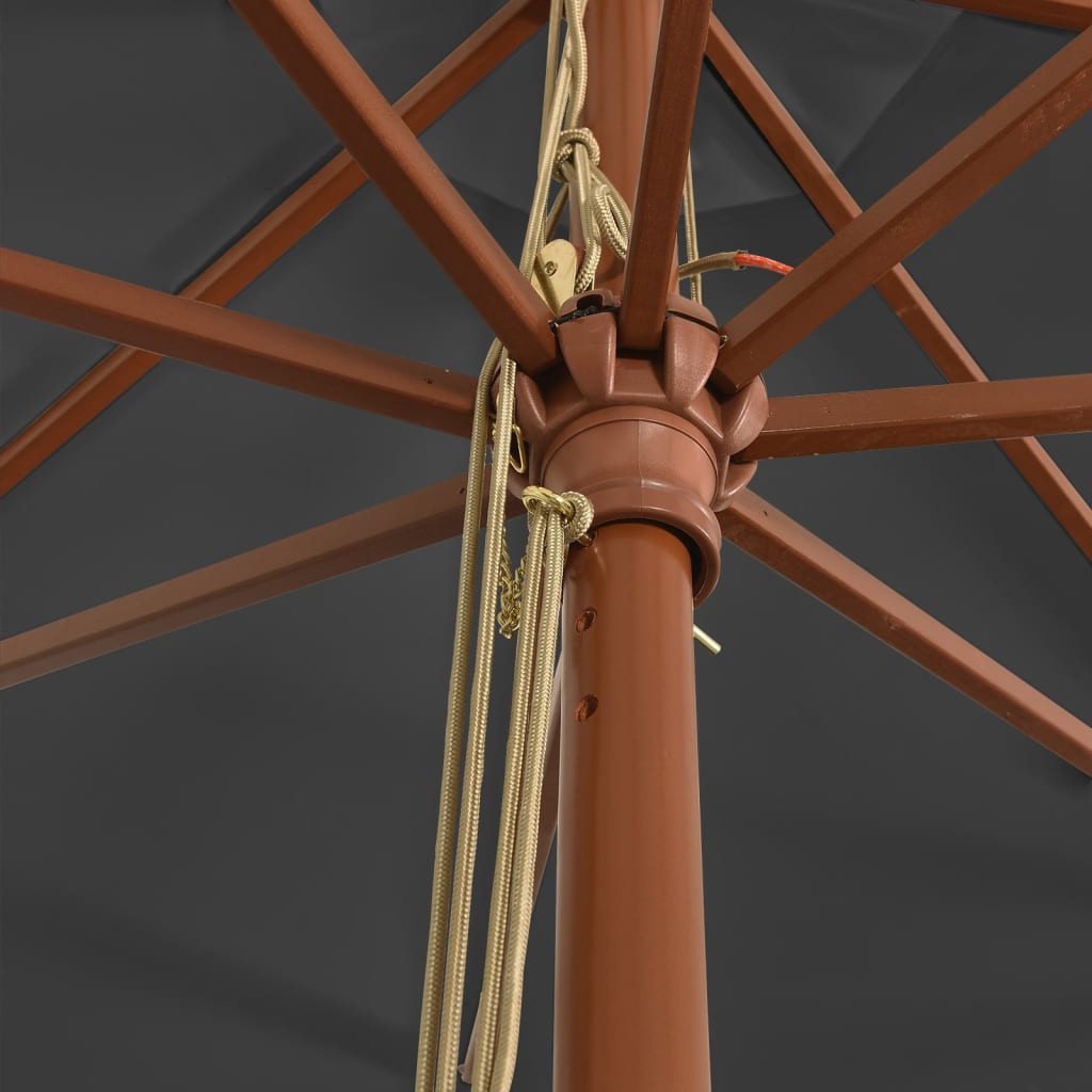 Parasol with wooden pole anthracite 400x273 cm