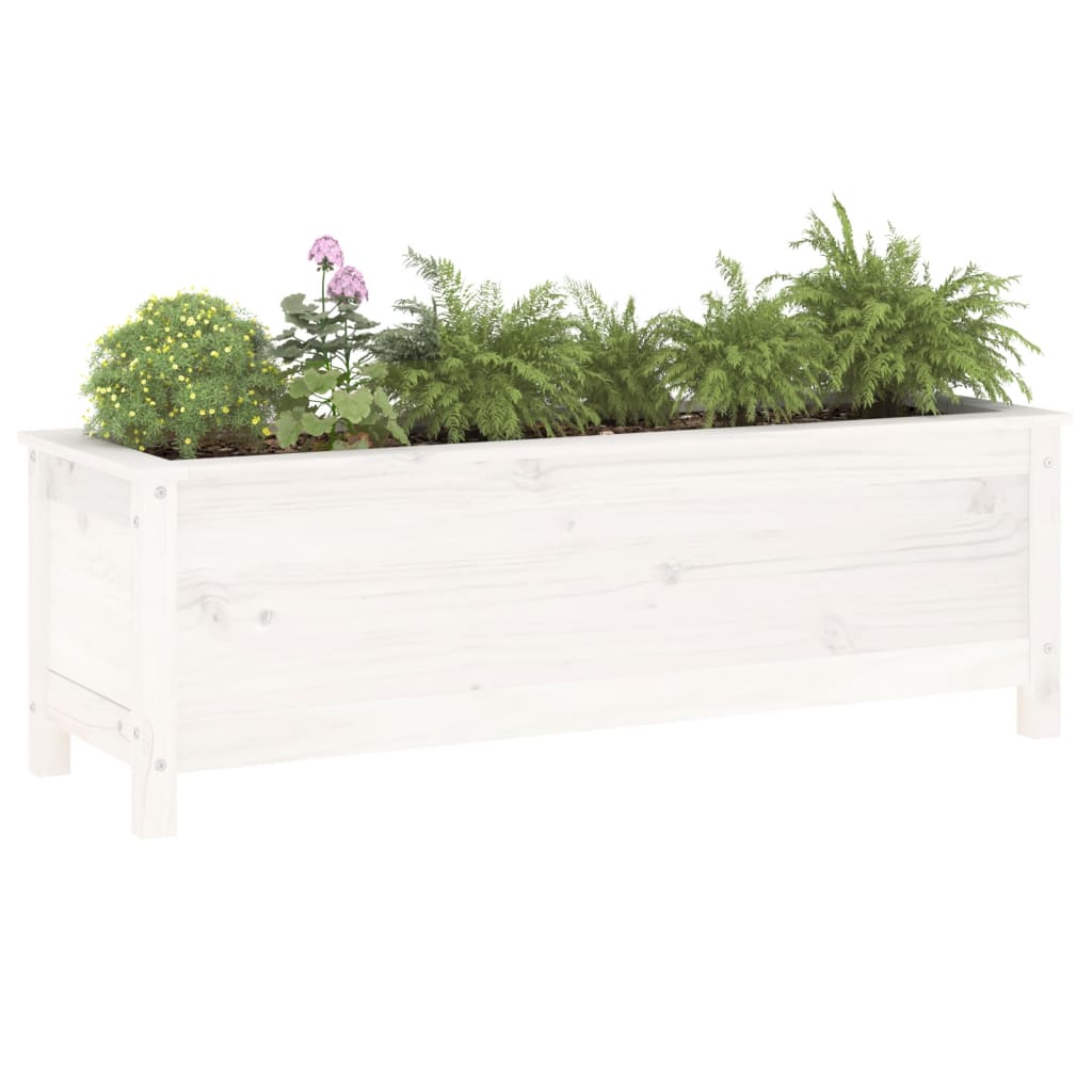 Raised Bed White 119.5x40x39 cm Solid Pine Wood