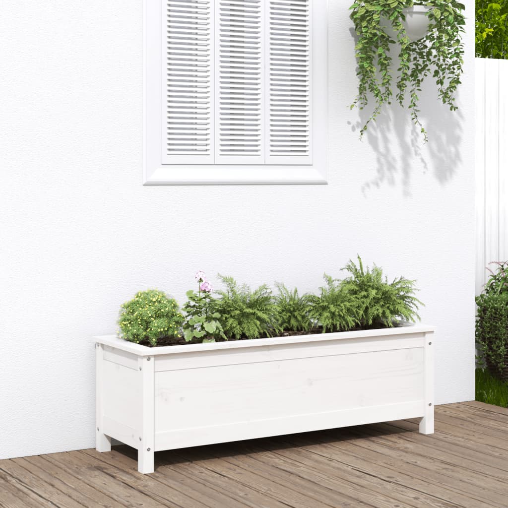 Raised Bed White 119.5x40x39 cm Solid Pine Wood