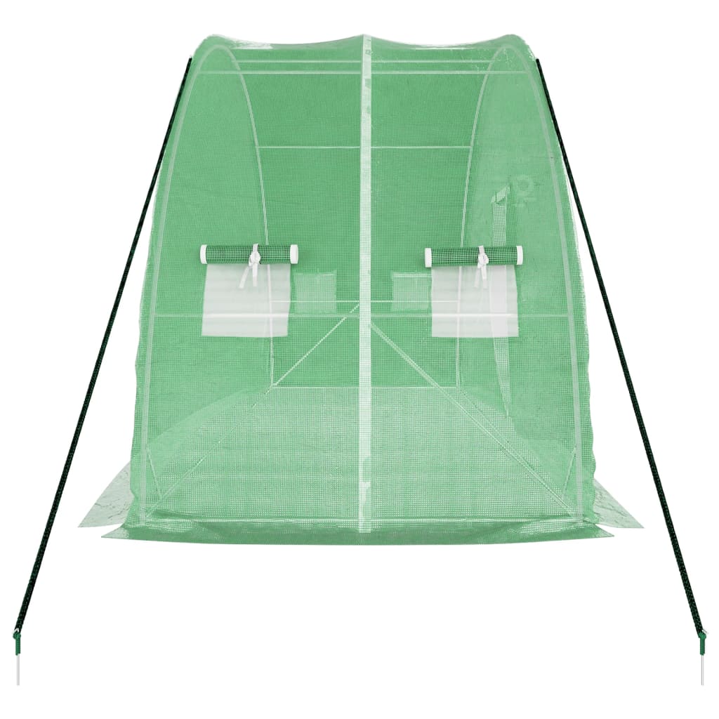 Greenhouse with steel frame Green 12 m² 6x2x2.85 m