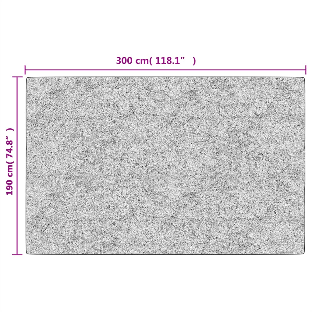 Teppich Waschbar Mehrfarbig 190x300 cm