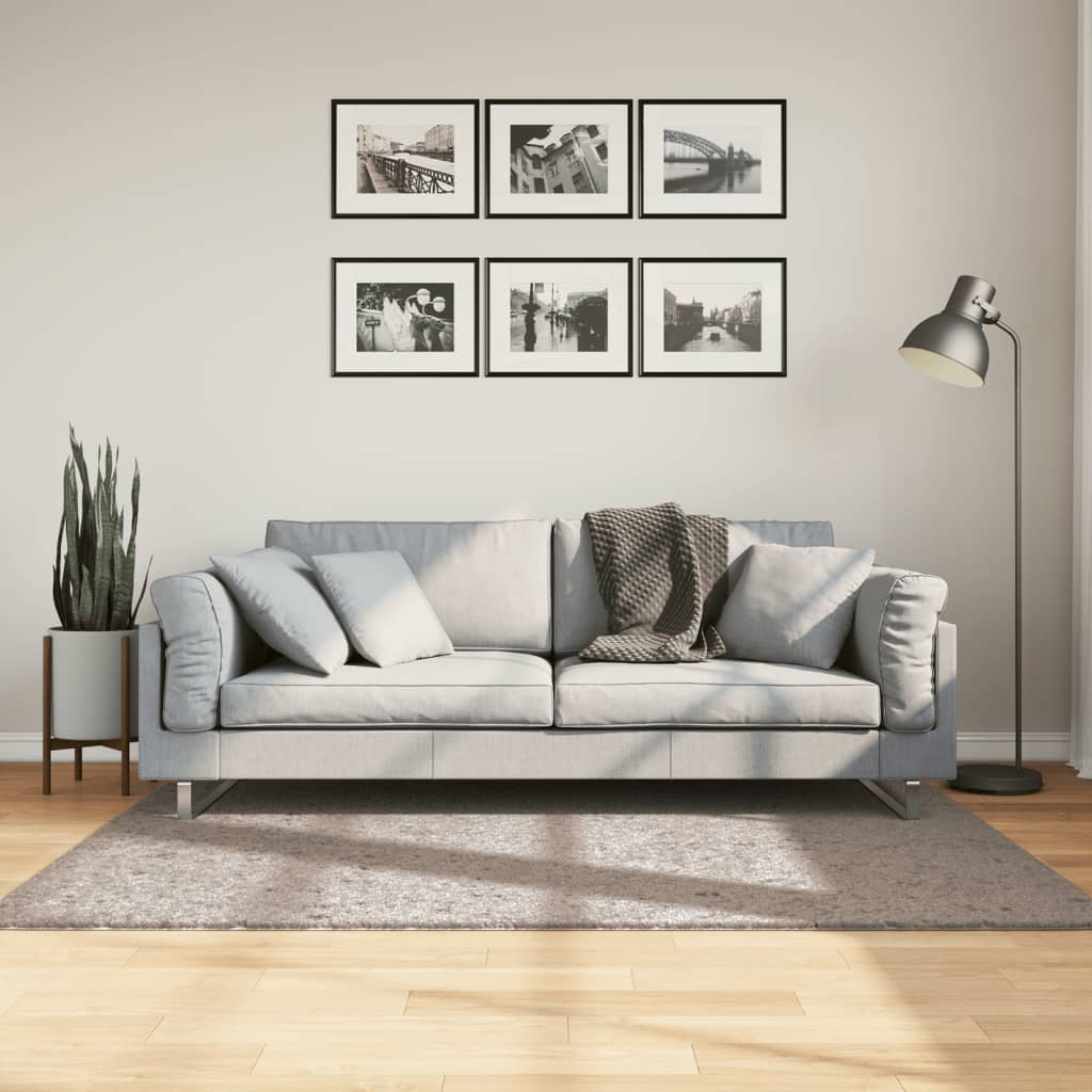 Shaggy carpet PAMPLONA deep pile modern beige 120x170 cm
