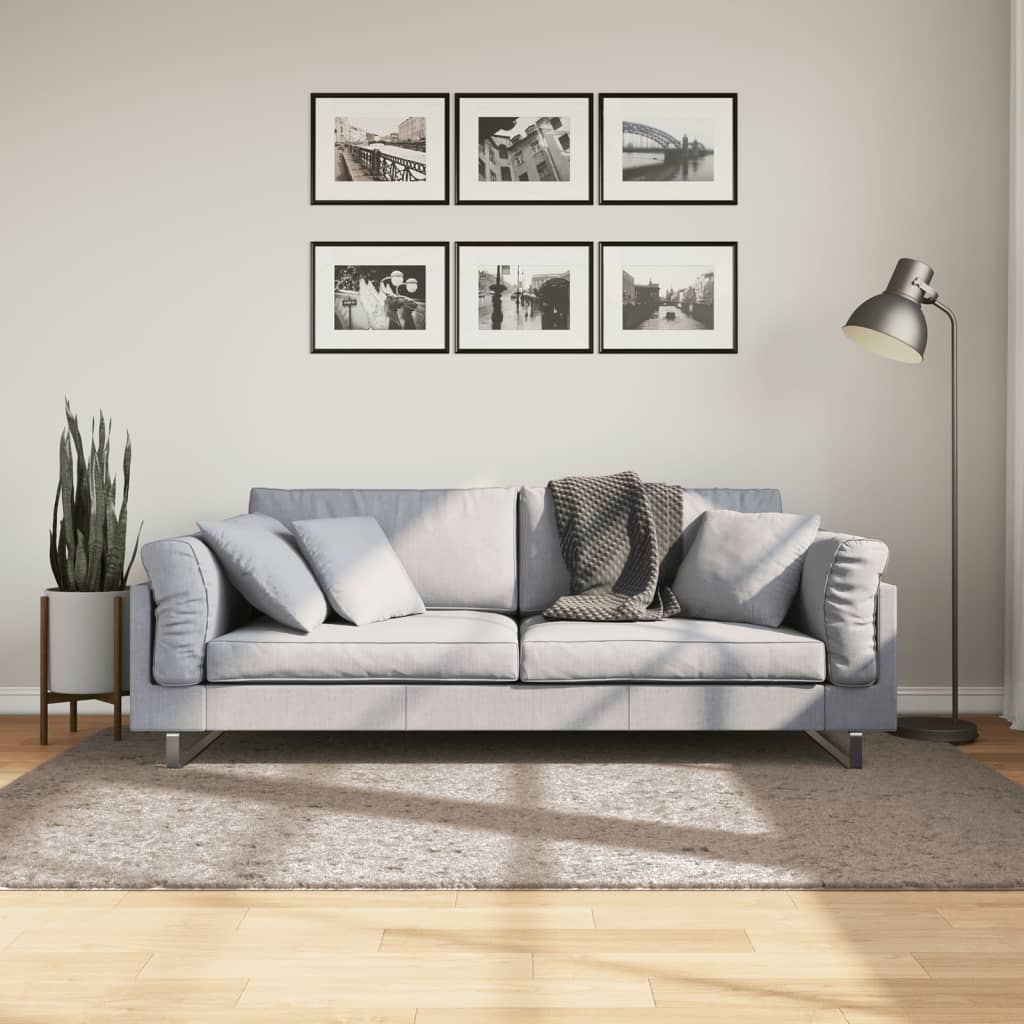 Shaggy carpet PAMPLONA deep pile modern beige 140x200 cm