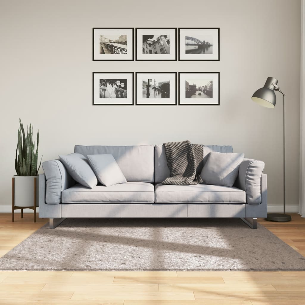 Shaggy carpet PAMPLONA deep pile modern beige 160x160 cm