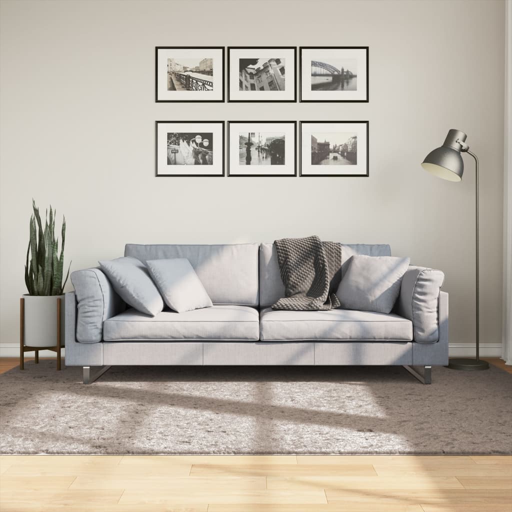 Shaggy carpet PAMPLONA deep pile modern beige 160x230 cm