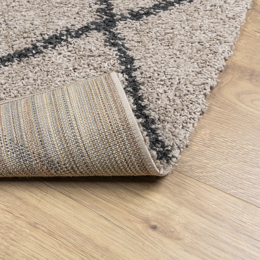 Shaggy Carpet Deep Pile Modern Beige Anthracite 120x120 cm