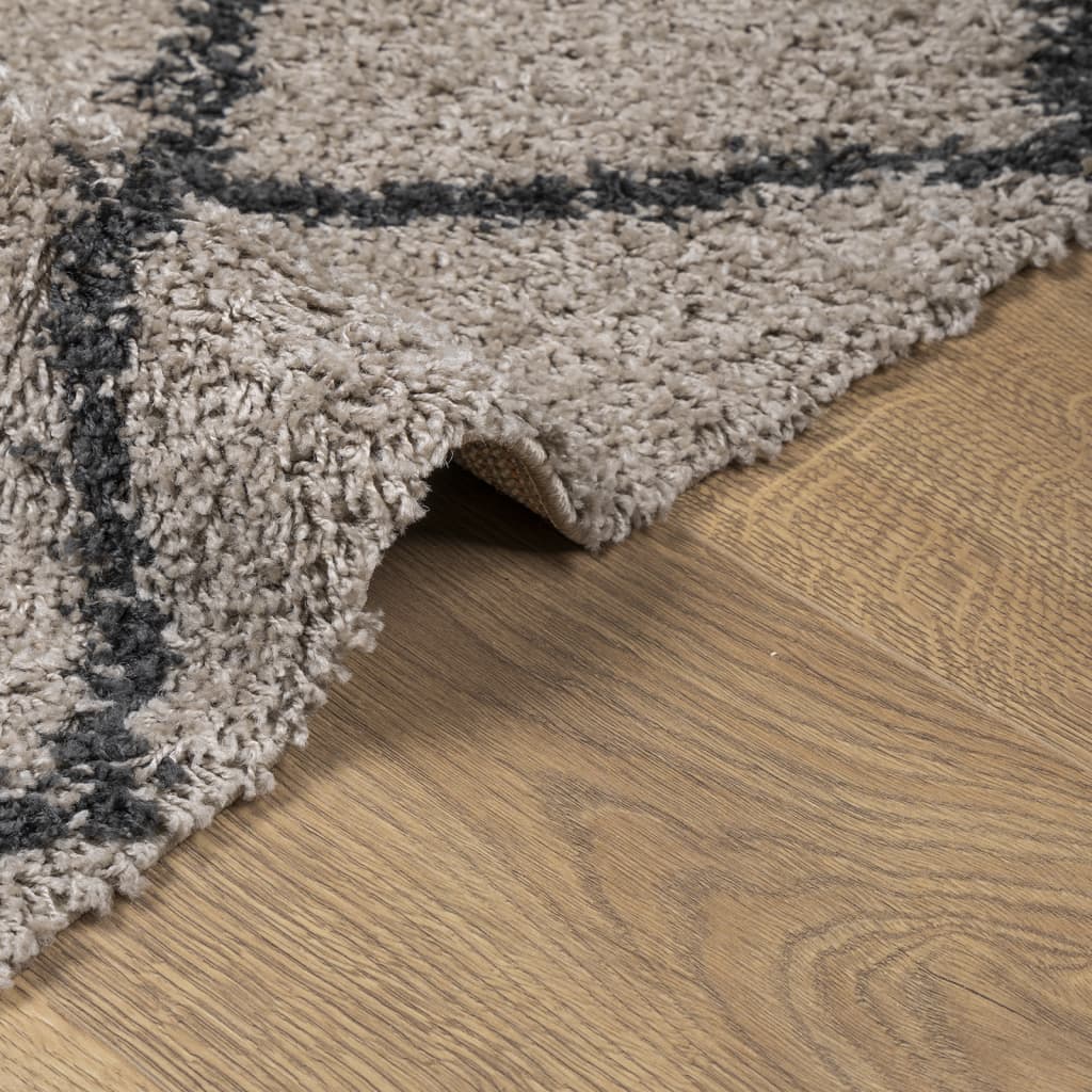 Shaggy Carpet Deep Pile Modern Beige Anthracite 120x120 cm