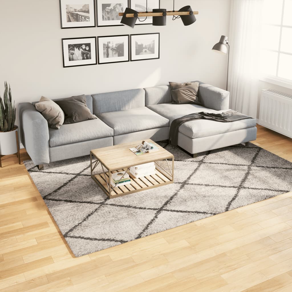 Shaggy Carpet Deep Pile Modern Beige Anthracite 200x280 cm