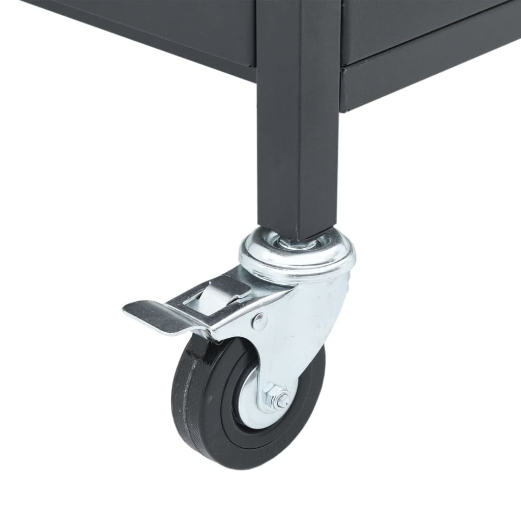 Gas grill with 4 burners Black powder-coated steel