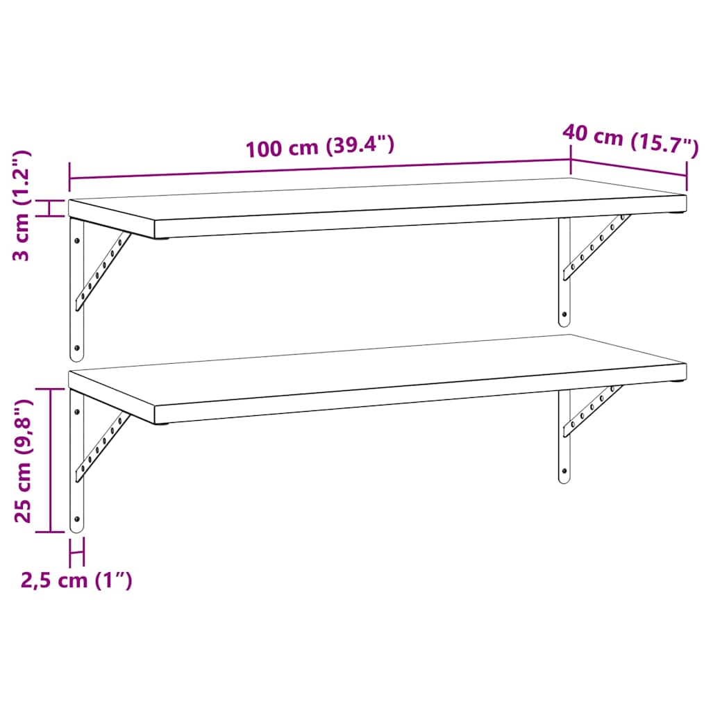Wandregale 2 Stk. 100x40 cm Schwarz Edelstahl