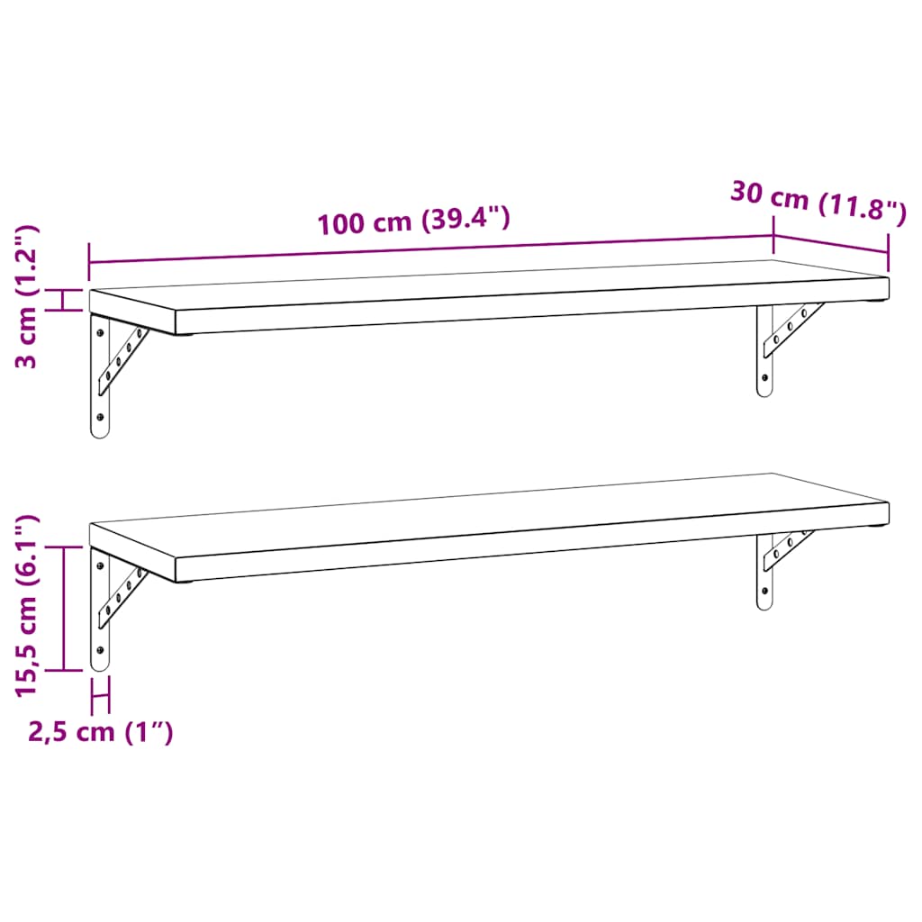 Wandregale 2 Stk. 100x30 cm Schwarz Edelstahl