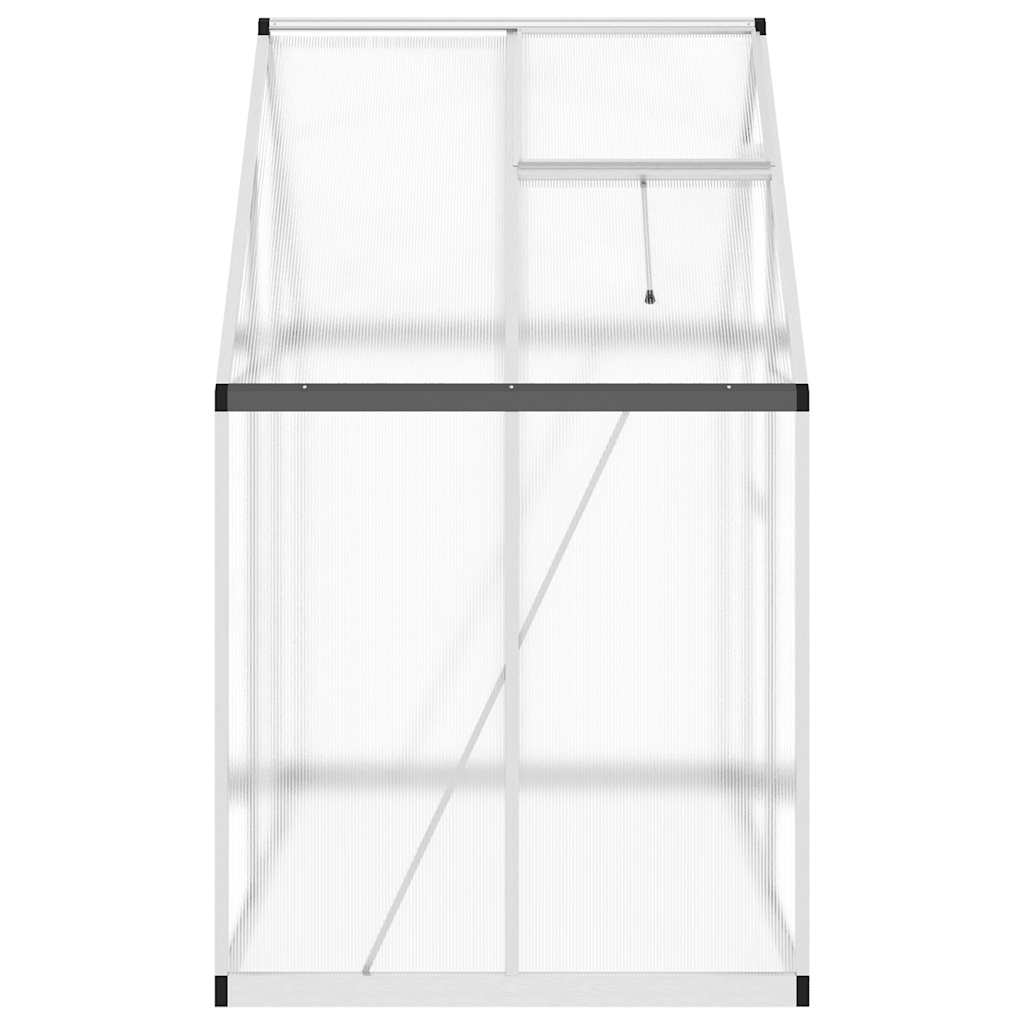 Greenhouse with foundation frame Silver 169x114x195 cm Alu
