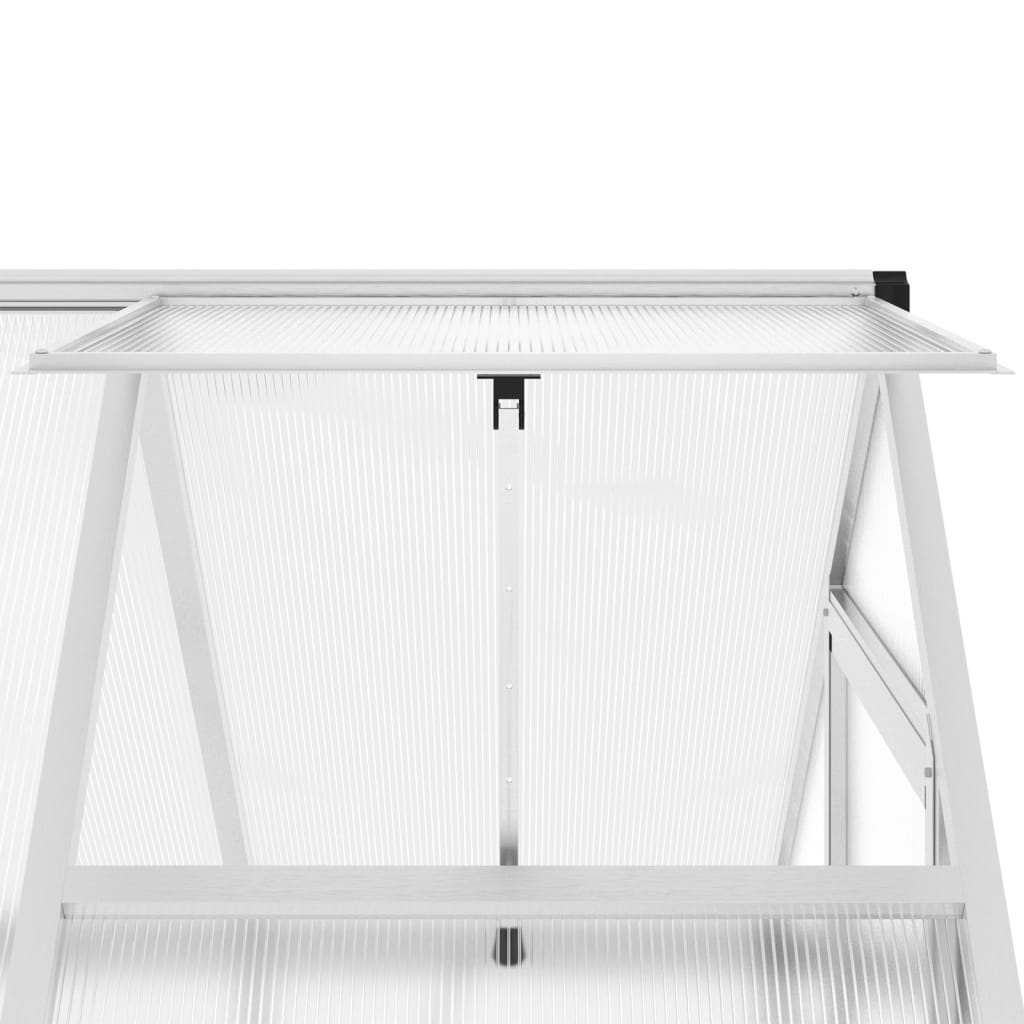 Greenhouse with foundation frame Silver 169x114x195 cm Alu