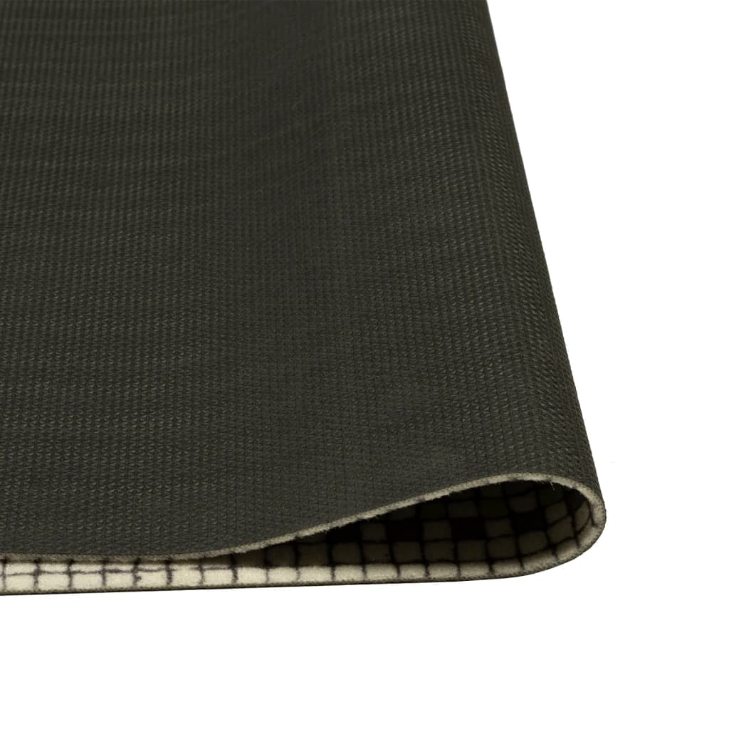Kitchen Rug Washable Capitals Home 60x300 cm Velvet