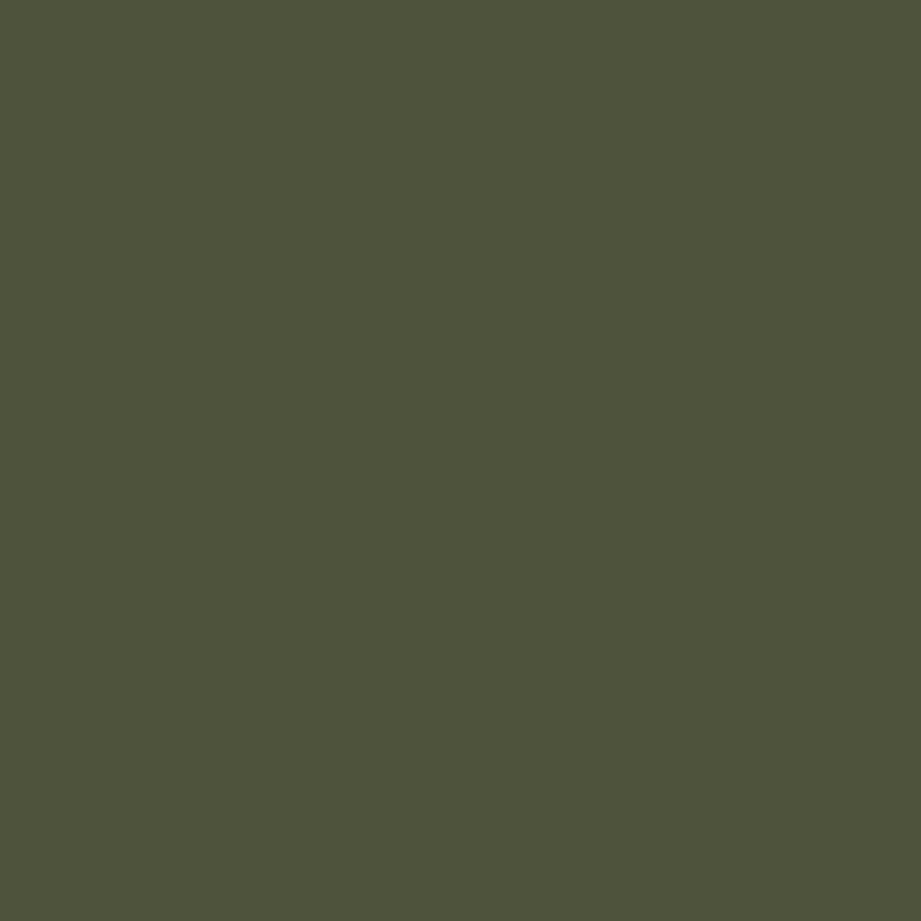 Coffee Table Olive Green 68x50x50.5 cm Steel