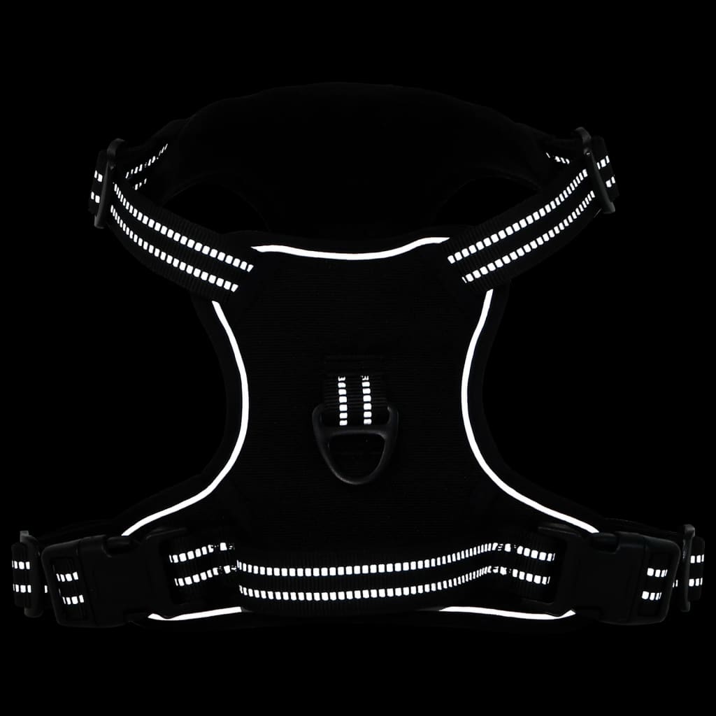 Harnais pour chien avec laisse et collier réglable noir M