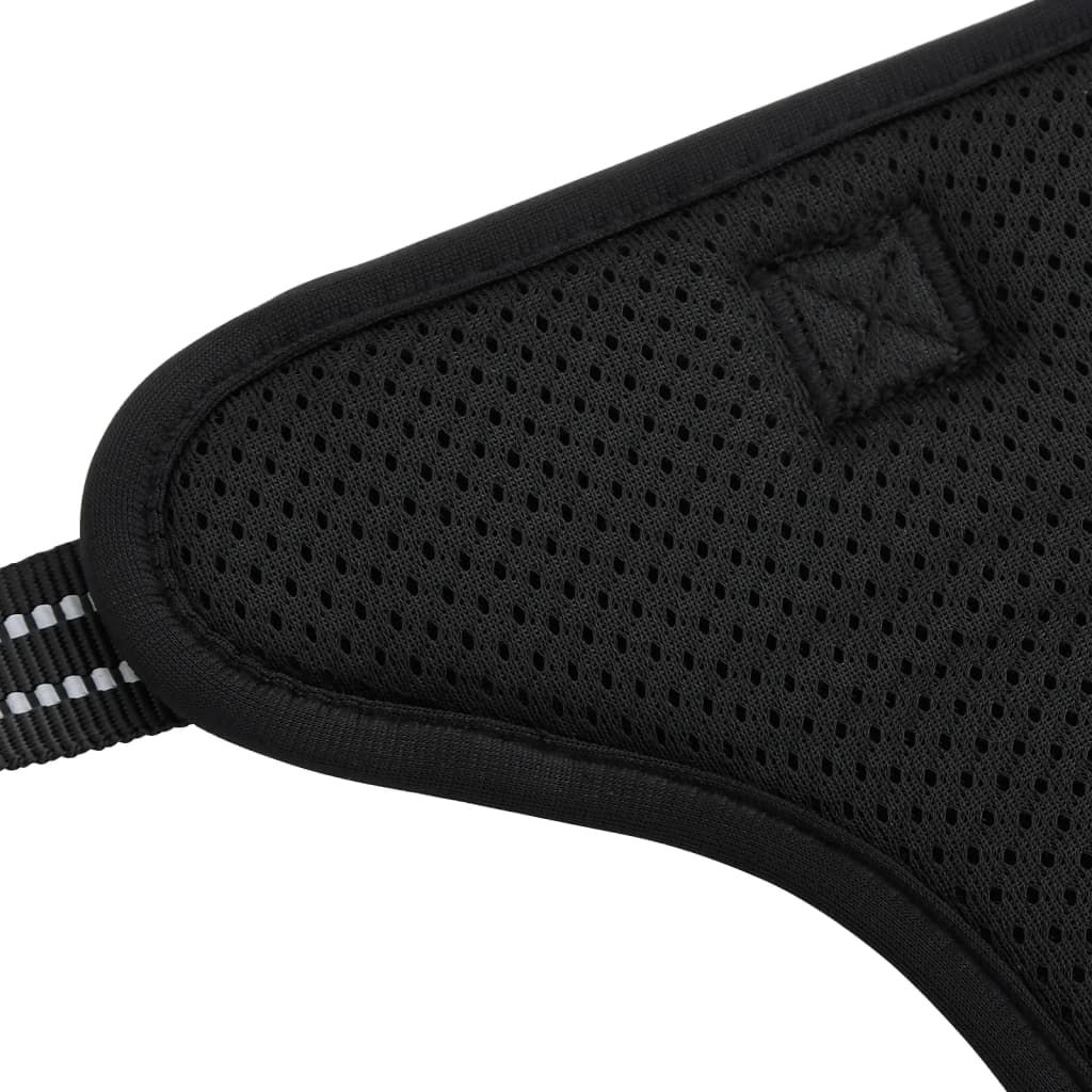 Harnais pour chien avec laisse et collier réglable noir M