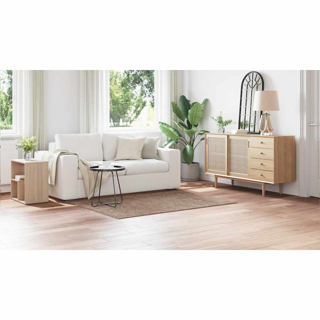 Anti-Rutsch Shaggy Teppich Braun 120 x 170 cm PP