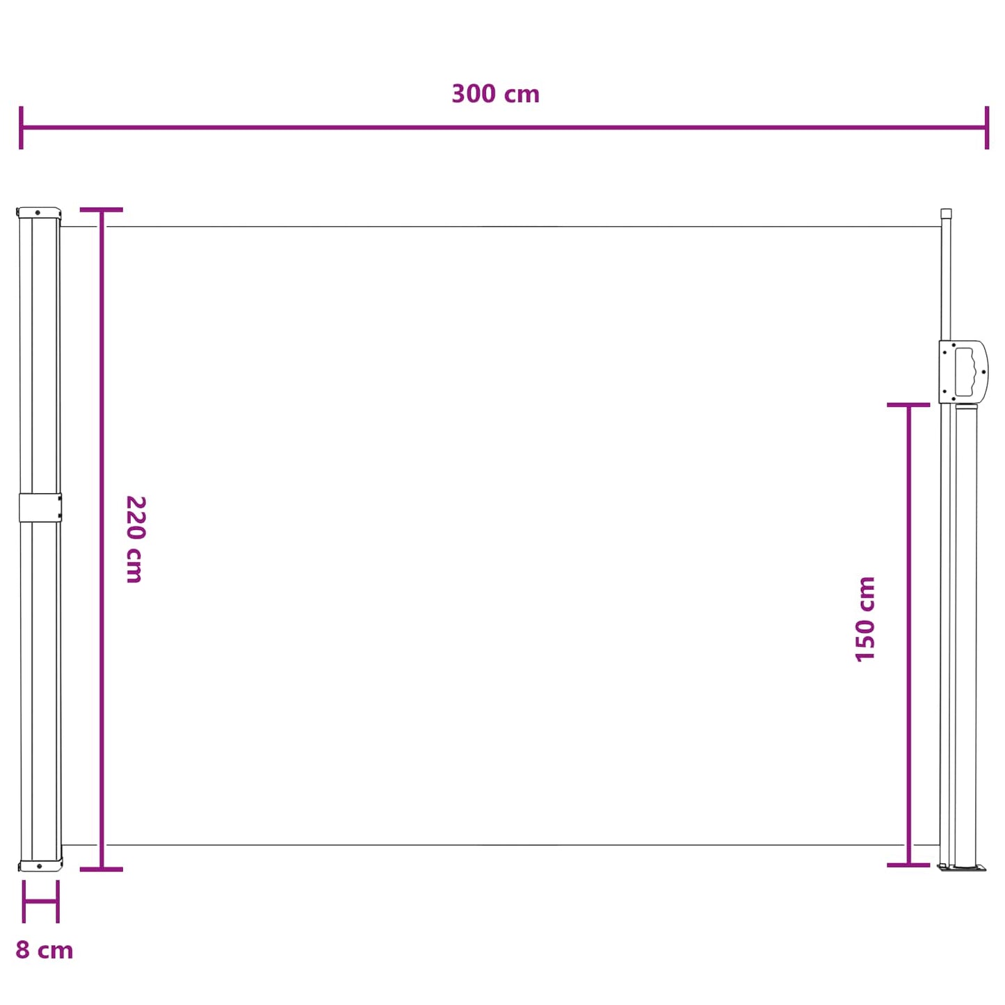 Ausziehbare Seitenmarkise 300 x 220 cm Polyester Rechteckig