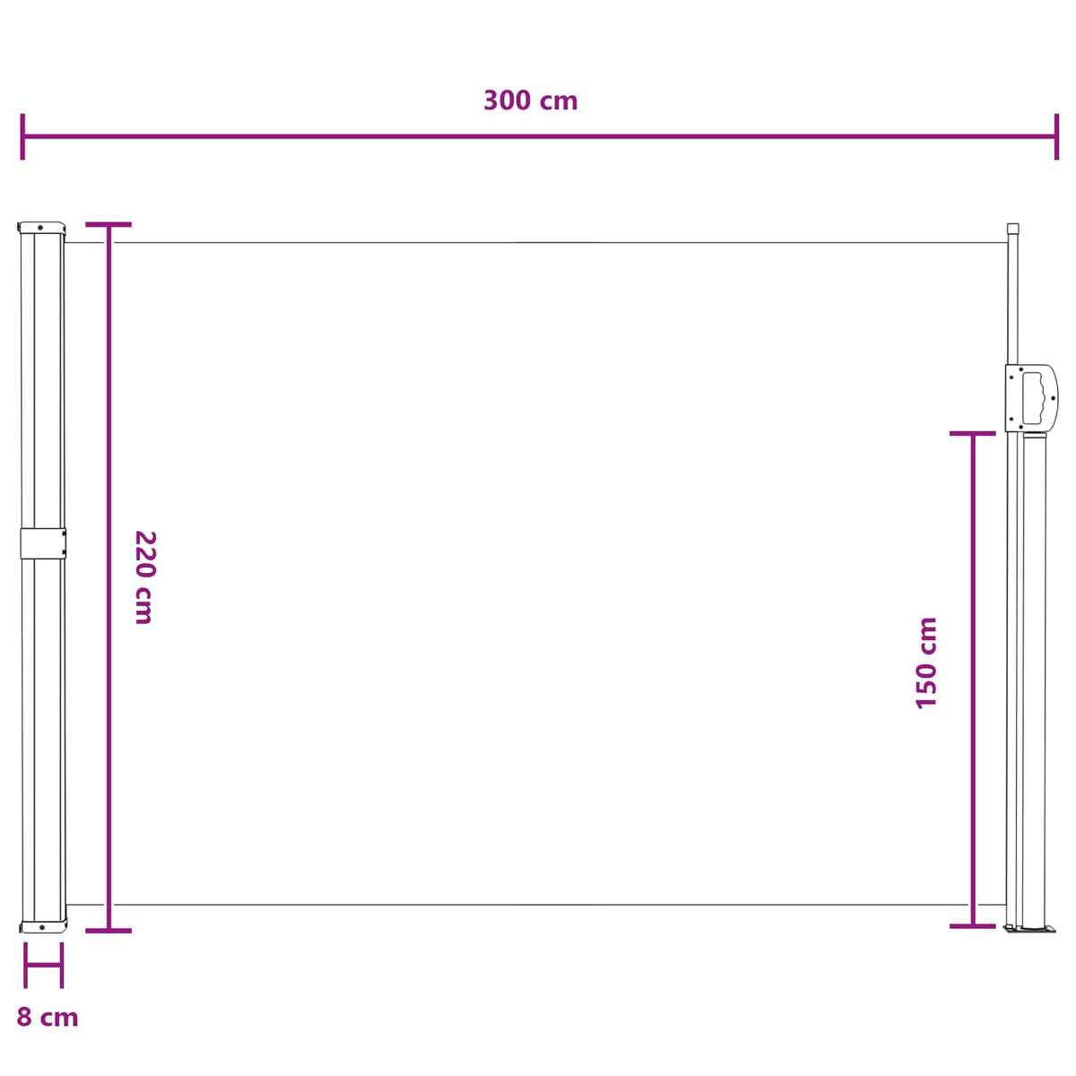 Ausziehbare Seitenmarkise Rechteckig 220 x 300 cm Polyester