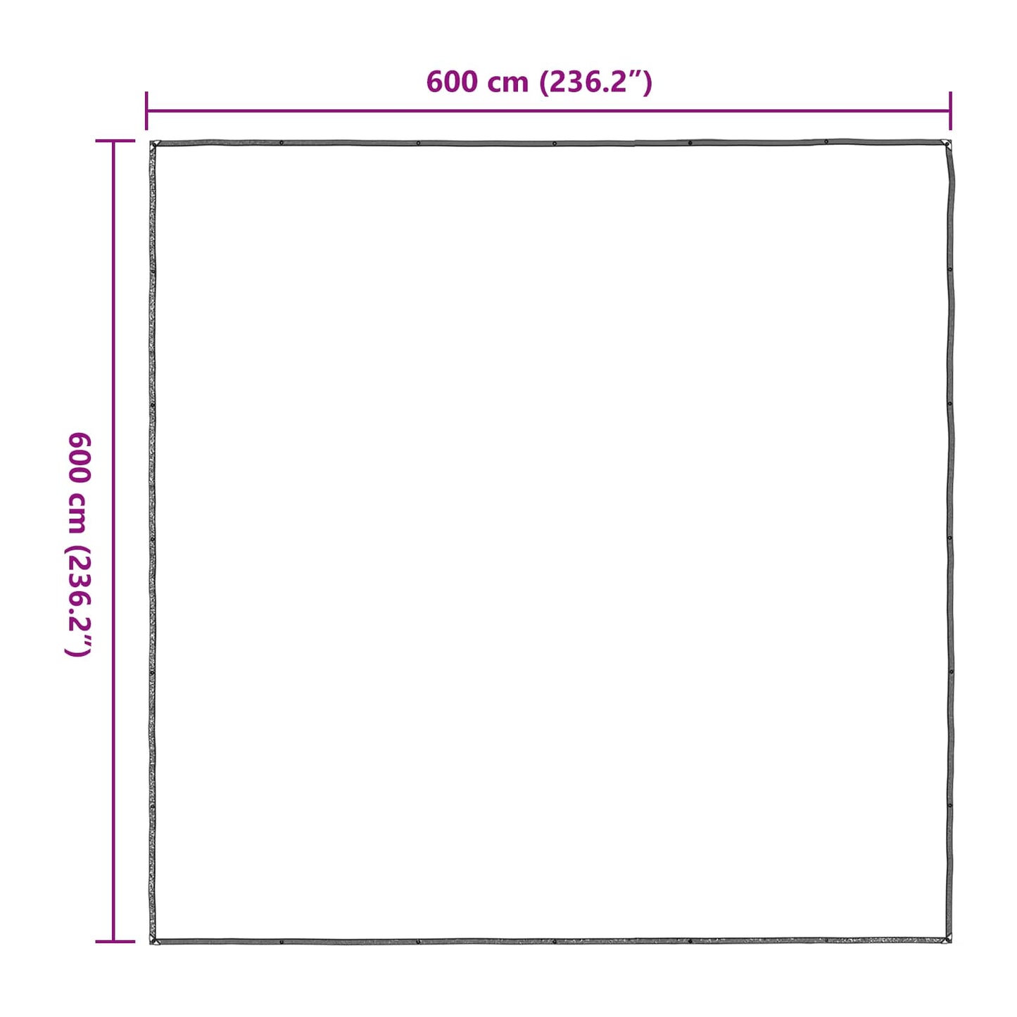 Pflanzenabdeckung Transparent 6 x 6 m PE