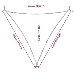 Sonnensegel 160 g/m² Anthrazit 3x3x3 m HDPE