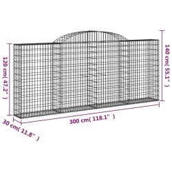 Gabionen mit Hochbogen 20 Stk 300x30x120/140cm Verzinktes Eisen