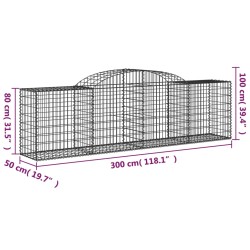 Gabionen mit Hochbogen 20 Stk. 300x50x80/100cm Verzinktes Eisen