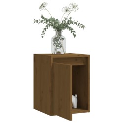 Wandschrank Honigbraun 30x30x40 cm Massivholz Kiefer