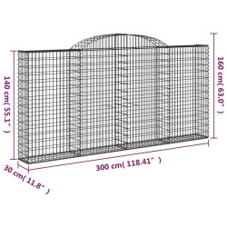 Gabione mit Hochbogen 300x30x140/160 cm Verzinktes Eisen