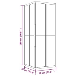 Duschkabine mit Streifen ESG 70x70x180 cm Schwarz