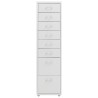 Aktenschrank mit Rollen Grau 28x41x109 cm Metall