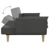 Schlafsofa 2-Sitzer mit 2 Kissen Dunkelgrau Stoff