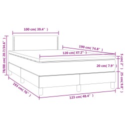 Boxspringbett mit Matratze & LED Grau 120x190 cm Kunstleder