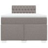 Boxspringbett mit Matratze Taupe 120x200 cm Stoff