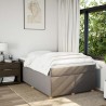 Boxspringbett mit Matratze Taupe 120x190 cm Stoff