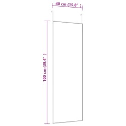 Türspiegel Schwarz 40x100 cm Glas und Aluminium