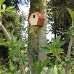 Capi Vogelhäuschen Hive 2 19x23x20 cm Ovales Loch Braun