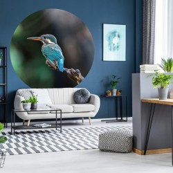 WallArt Fototapete The Kingfisher 142,5 cm