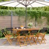 Gartenstühle 8 Stk. Klappbar Schwarz Poly Rattan & Massivholz